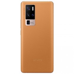 Vivo X50 Pro Plus 8GB+256GB camel