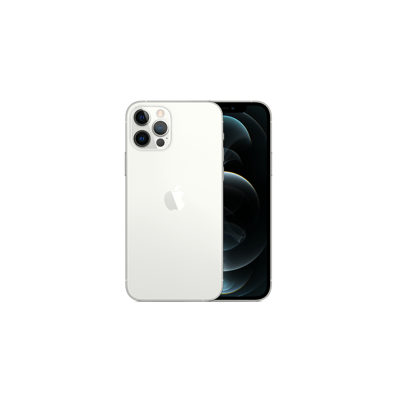 Apple iPhone 12 Pro Dual Sim 256GB 5G (Silver) MGLF3ZA/A HK spec