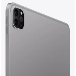 Apple iPad Pro 11 (2022) 256 Go Wi-Fi (gris sidéral)