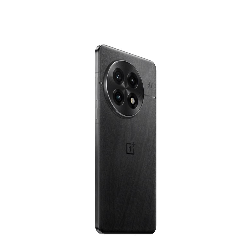 OnePlus 13 12 Go + 256 Go Noir