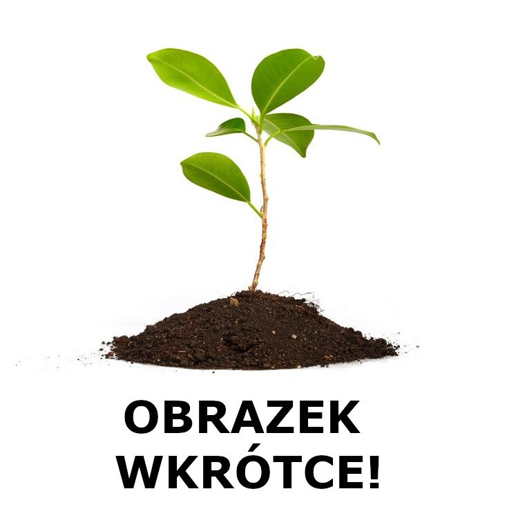 Telefony i Smartfony